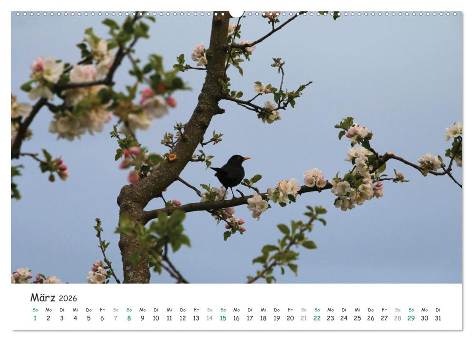 Styria – Steiermark (CALVENDO Premium Wandkalender 2026)