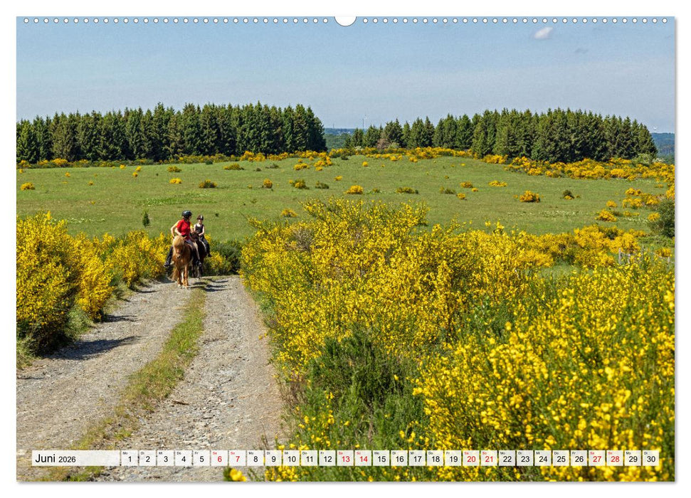 Die Eifel und das Hohe Venn (CALVENDO Premium Wandkalender 2026)