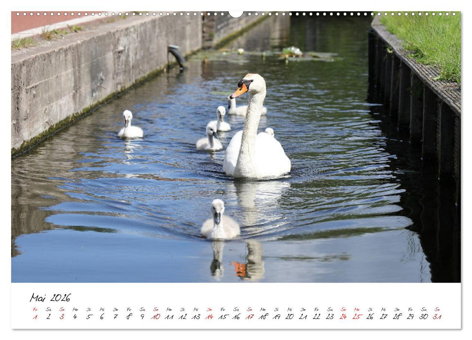 Boat and Bike Südholland (CALVENDO Premium Wandkalender 2026)