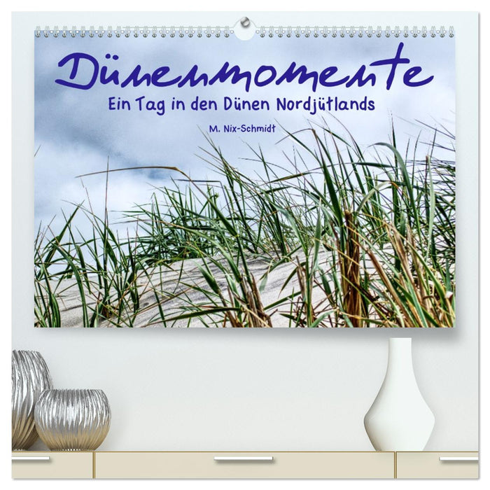 Dünenmomente - Ein Tag in den Dünen Nordjütlands (CALVENDO Premium Wandkalender 2026)