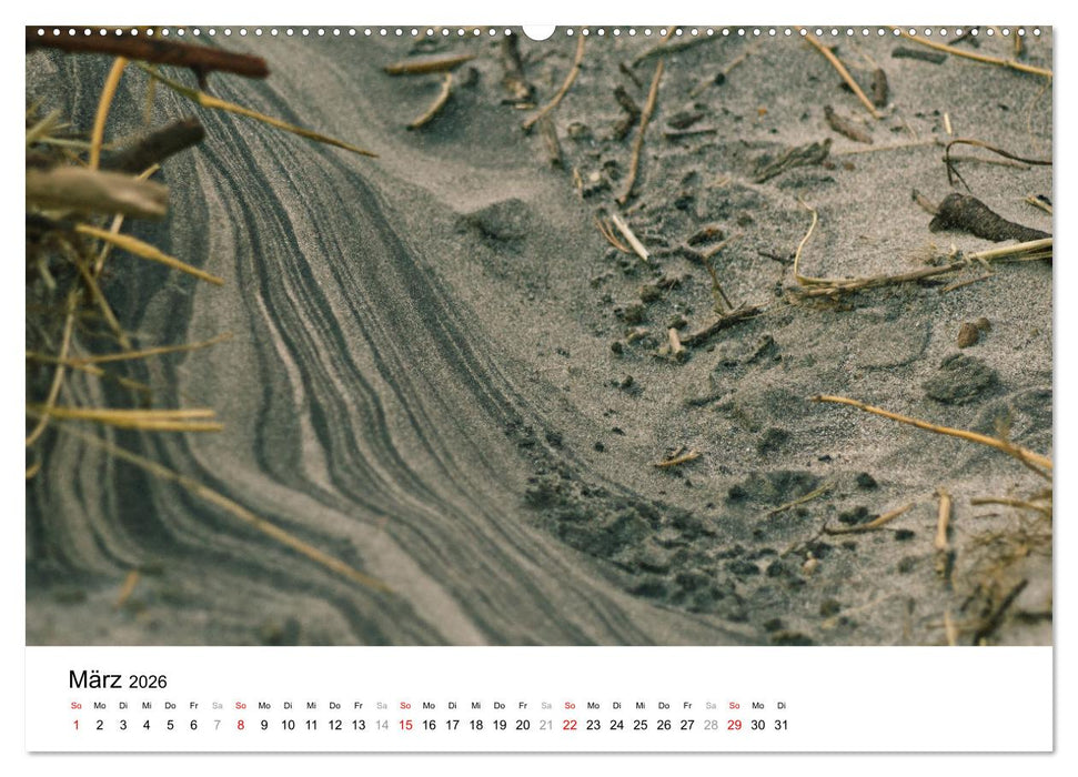 Dünenmomente - Ein Tag in den Dünen Nordjütlands (CALVENDO Premium Wandkalender 2026)