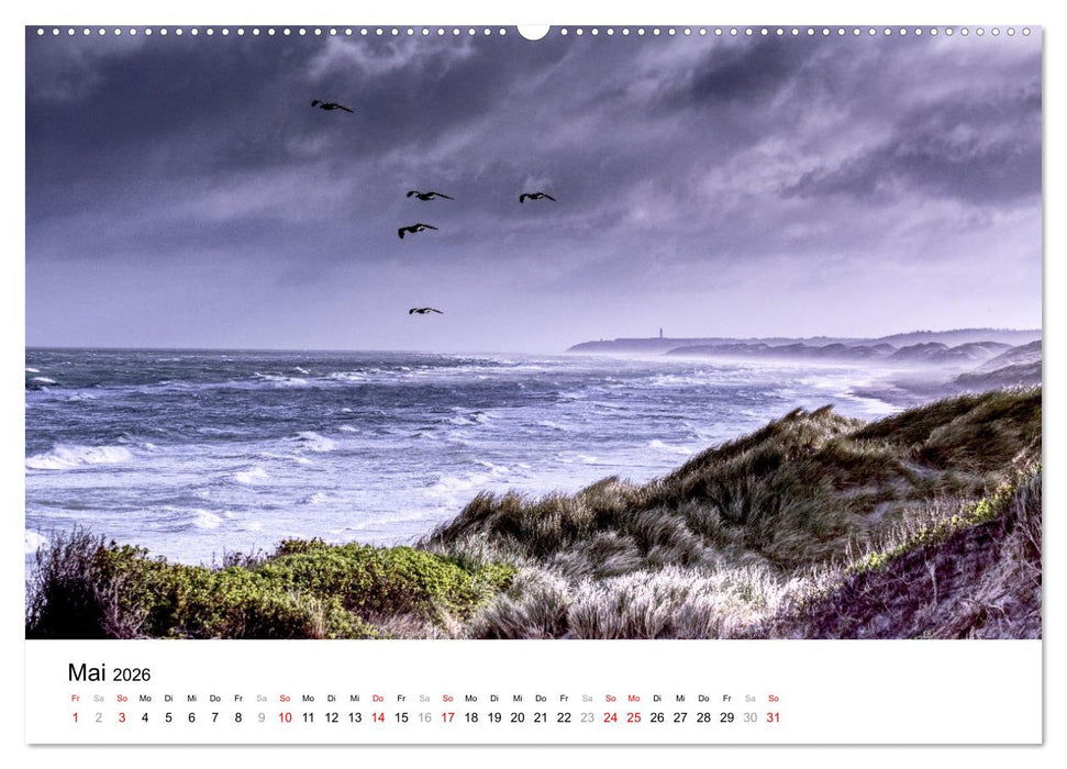 Dünenmomente - Ein Tag in den Dünen Nordjütlands (CALVENDO Premium Wandkalender 2026)
