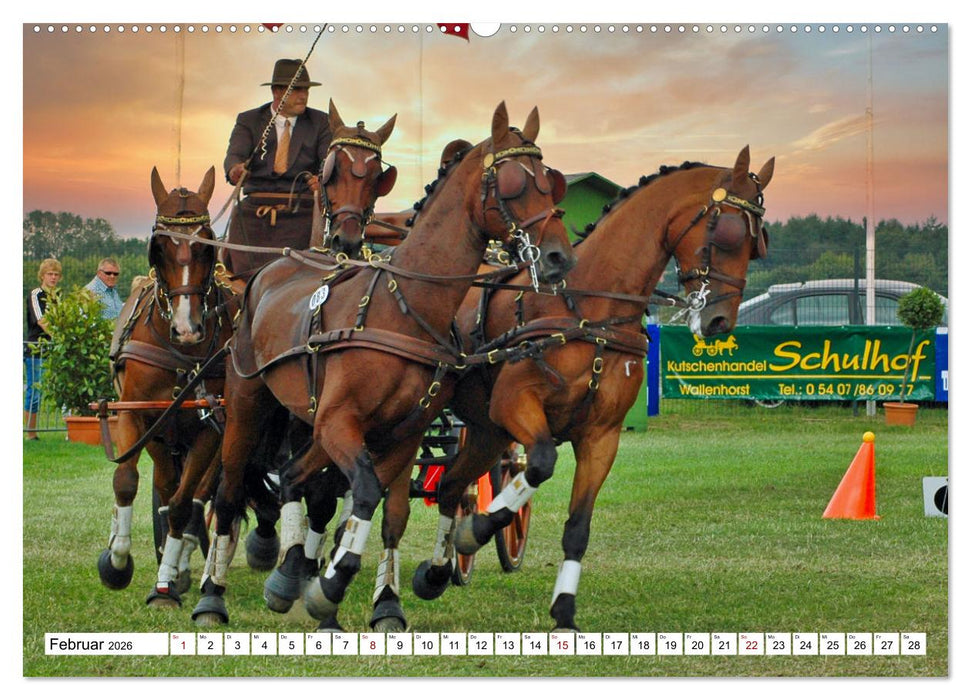 Vierspänner Herausforderung Fahrsport (CALVENDO Premium Wandkalender 2026)