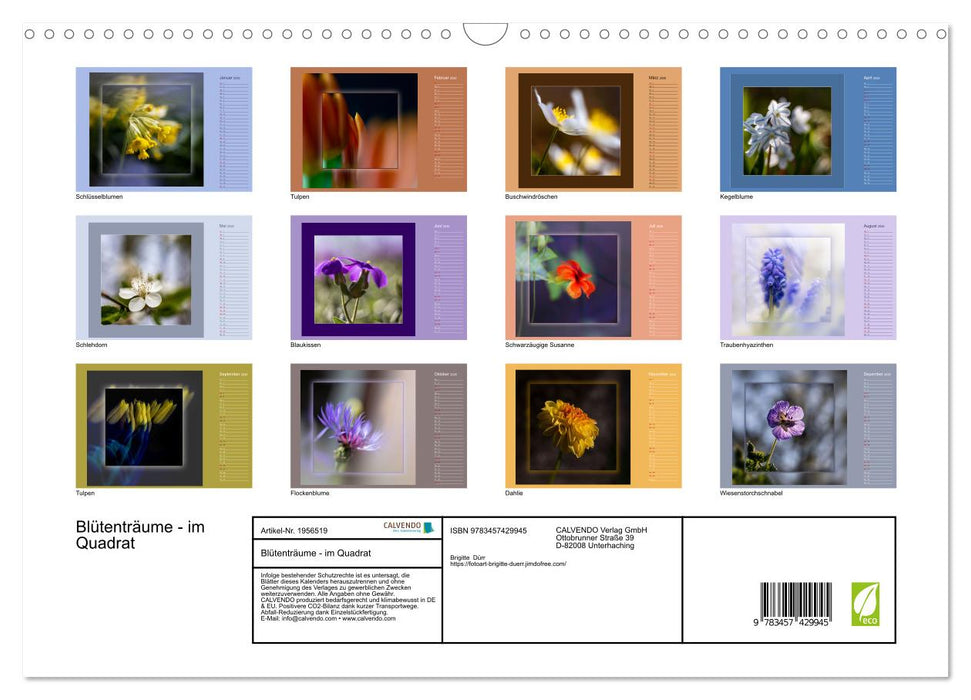 Blütenträume - im Quadrat (CALVENDO Wandkalender 2026)