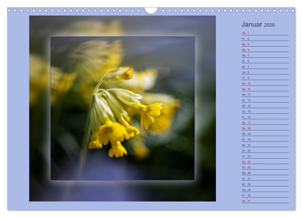 Blütenträume - im Quadrat (CALVENDO Wandkalender 2026)