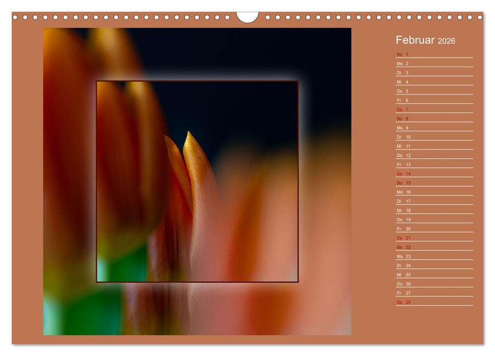 Blütenträume - im Quadrat (CALVENDO Wandkalender 2026)