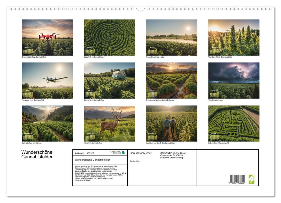 Wunderschöne Cannabisfelder (CALVENDO Wandkalender 2026)