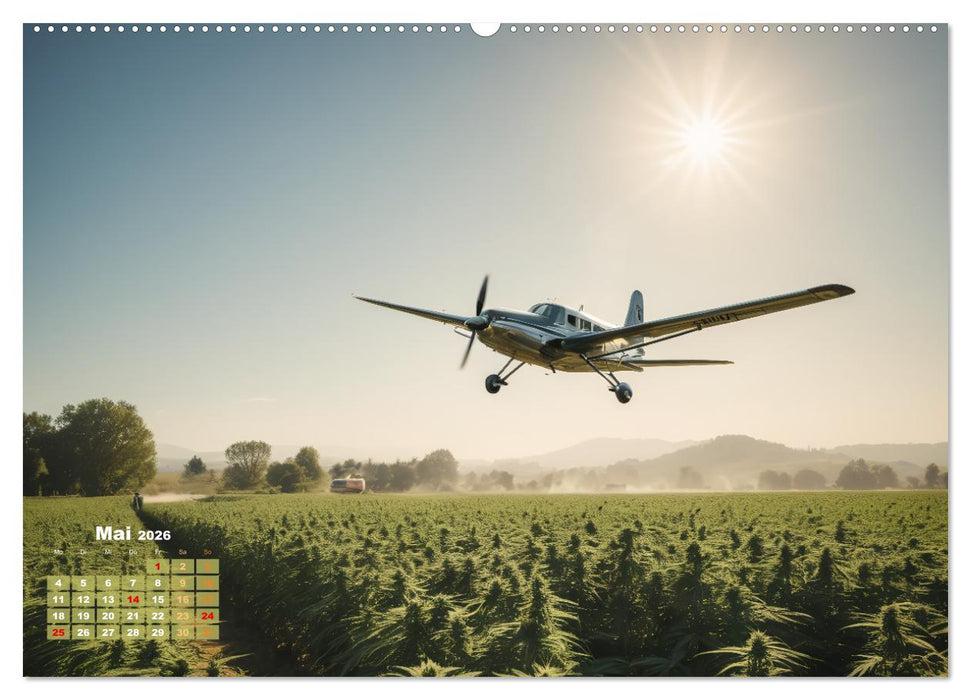 Wunderschöne Cannabisfelder (CALVENDO Wandkalender 2026)