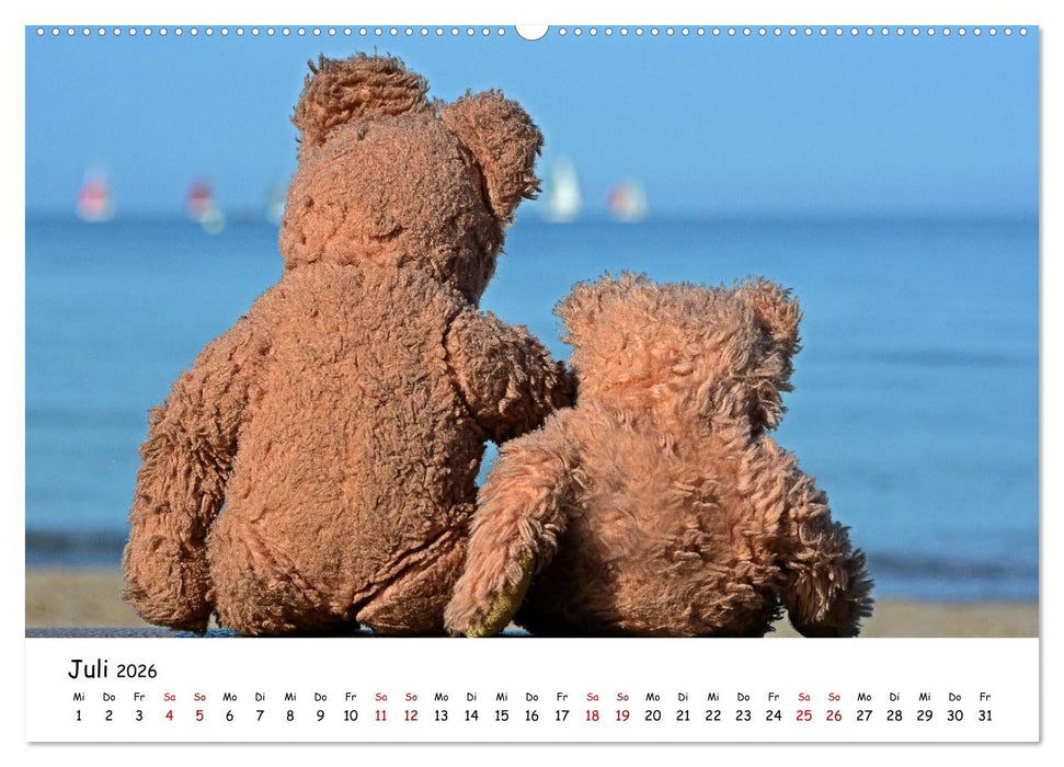 Allerliebste Teddybären (CALVENDO Premium Wandkalender 2026)