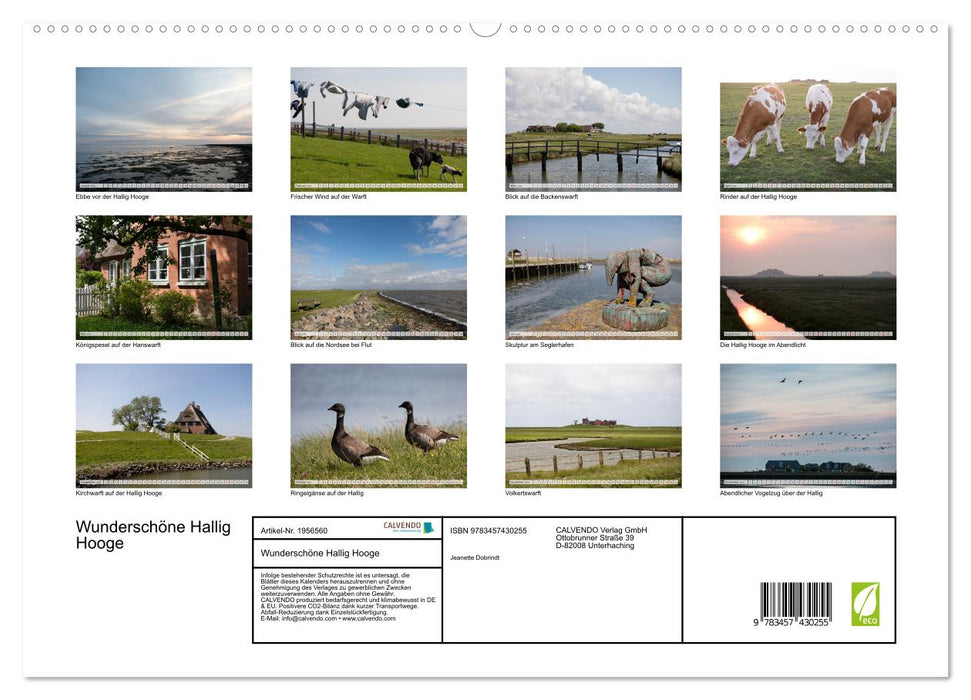Wunderschöne Hallig Hooge (CALVENDO Premium Wandkalender 2026)