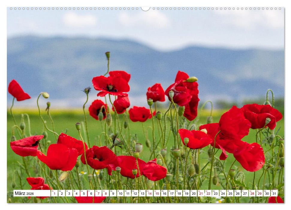 Vogelparadies Volvi-See (CALVENDO Premium Wandkalender 2026)