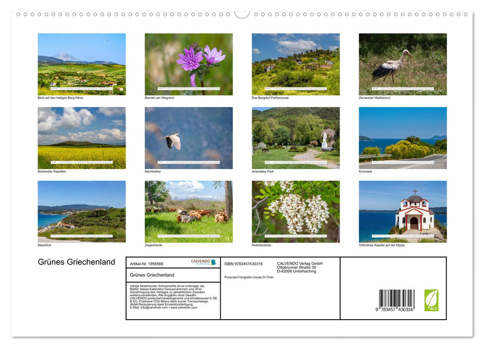 Grünes Griechenland (CALVENDO Premium Wandkalender 2026)