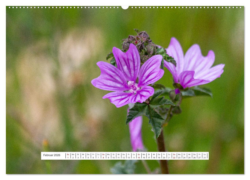 Grünes Griechenland (CALVENDO Premium Wandkalender 2026)