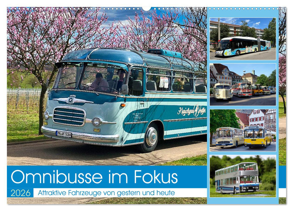 Omnibusse im Fokus (CALVENDO Wandkalender 2026)