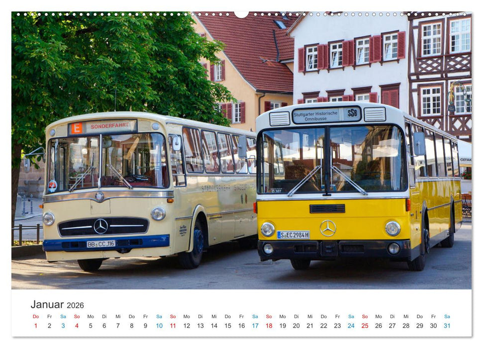 Omnibusse im Fokus (CALVENDO Wandkalender 2026)