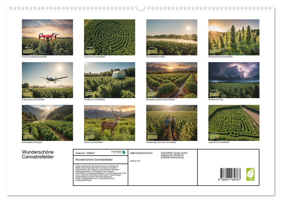 Wunderschöne Cannabisfelder (CALVENDO Premium Wandkalender 2026)