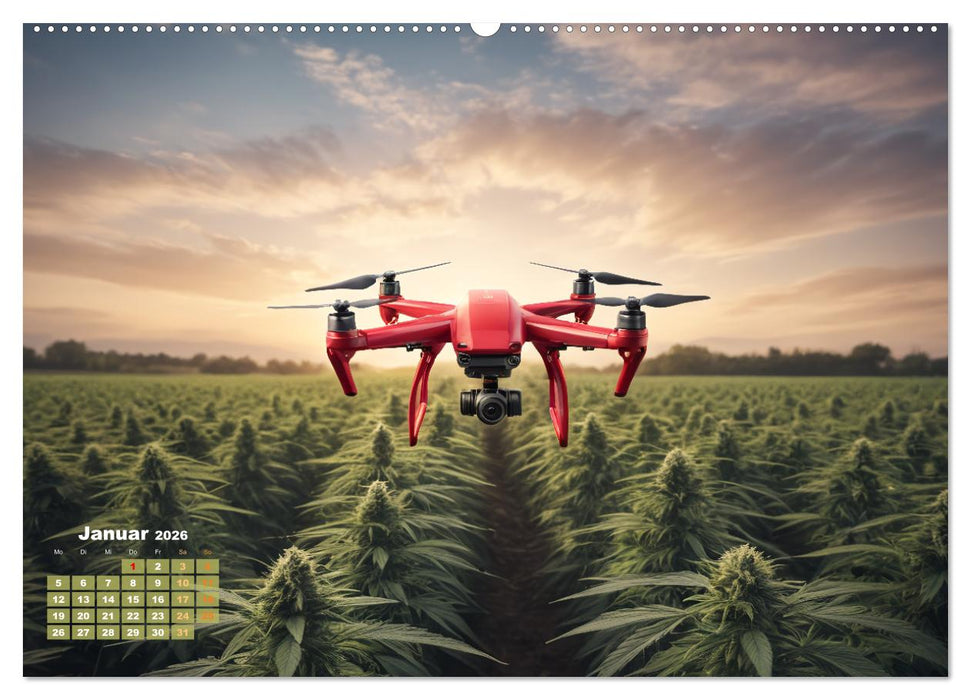 Wunderschöne Cannabisfelder (CALVENDO Premium Wandkalender 2026)