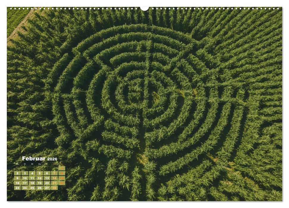 Wunderschöne Cannabisfelder (CALVENDO Premium Wandkalender 2026)