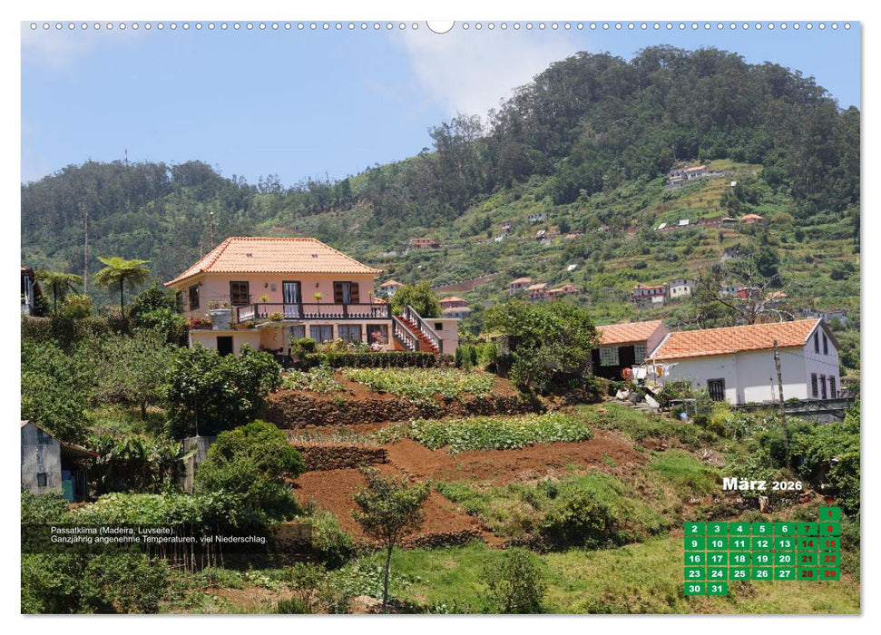 Klimazonen Europas (CALVENDO Premium Wandkalender 2026)