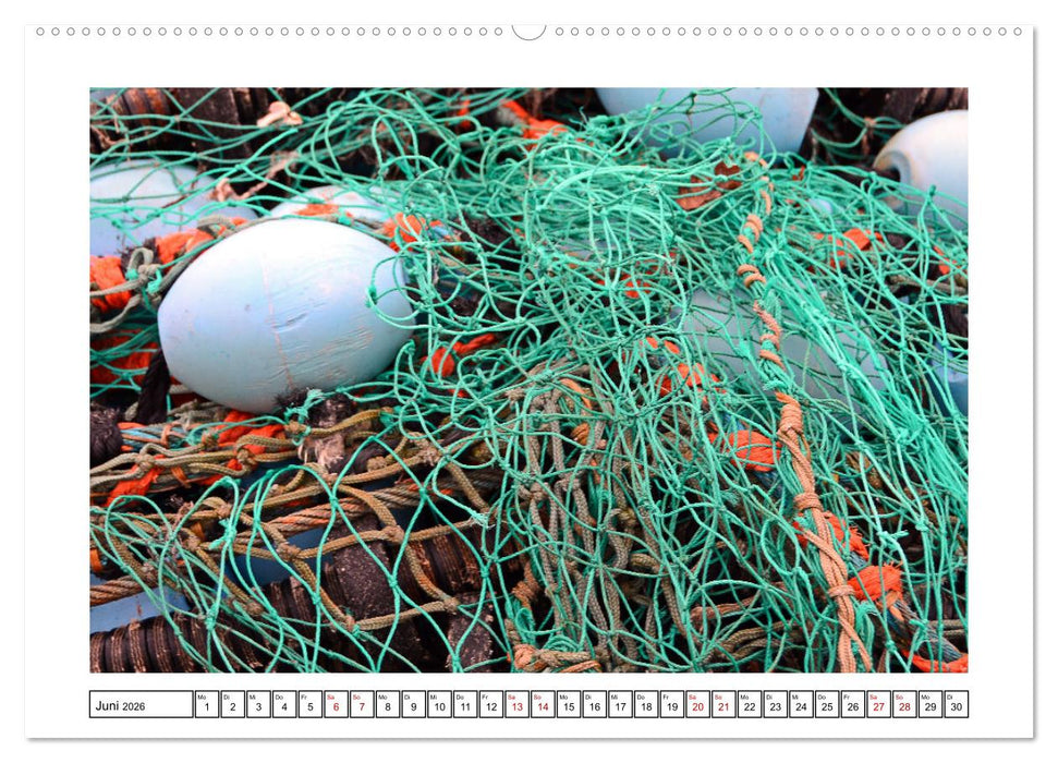 Netzdetails (CALVENDO Premium Wandkalender 2026)