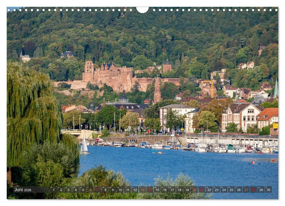 Mein Heidelberg - Unterwegs zwischen Neckar und Altstadt (CALVENDO Wandkalender 2026)