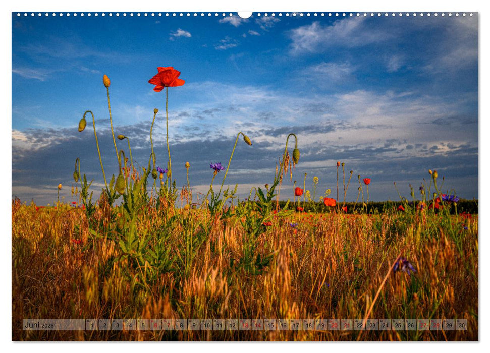 Börnicke - Bernau bei Berlin (CALVENDO Premium Wandkalender 2026)