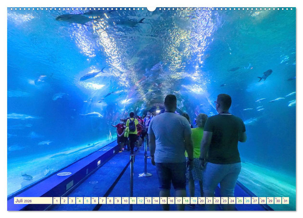 Valencia erobert dein Herz (CALVENDO Premium Wandkalender 2026)