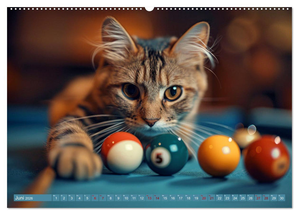 Tierische Balljunkies (CALVENDO Premium Wandkalender 2026)
