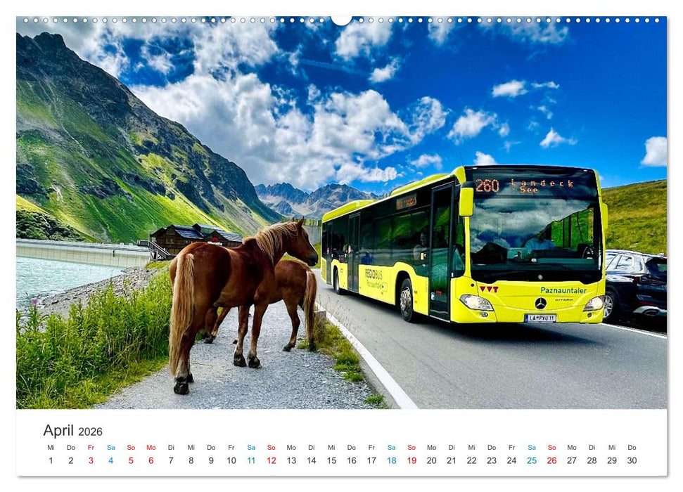Omnibusse im Fokus (CALVENDO Premium Wandkalender 2026)