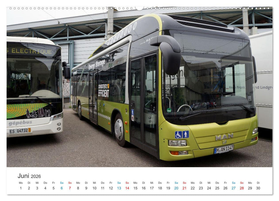 Omnibusse im Fokus (CALVENDO Premium Wandkalender 2026)