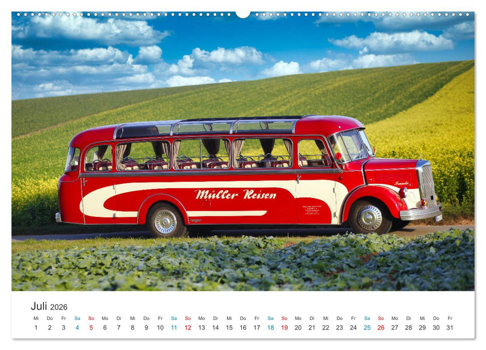 Omnibusse im Fokus (CALVENDO Premium Wandkalender 2026)