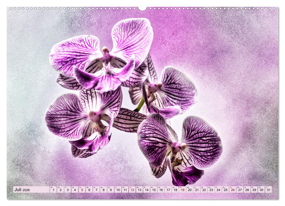 Orchideen im Retro-Stil (CALVENDO Premium Wandkalender 2026)