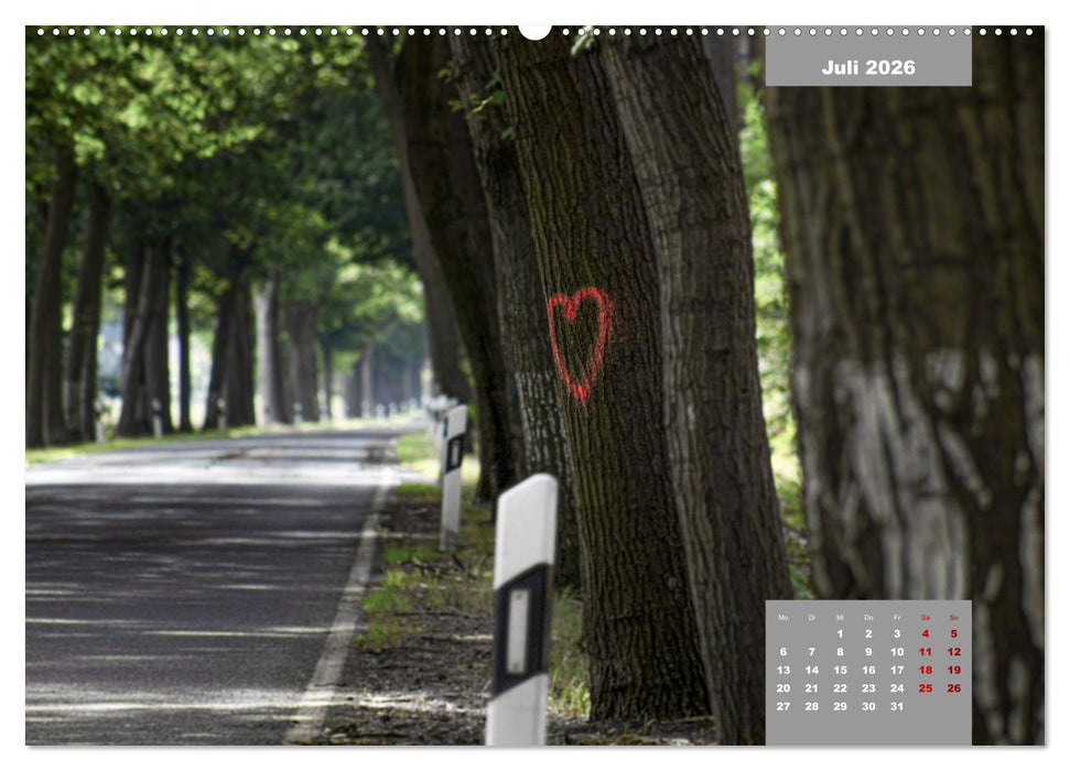 Die Niederlausitz (CALVENDO Premium Wandkalender 2026)