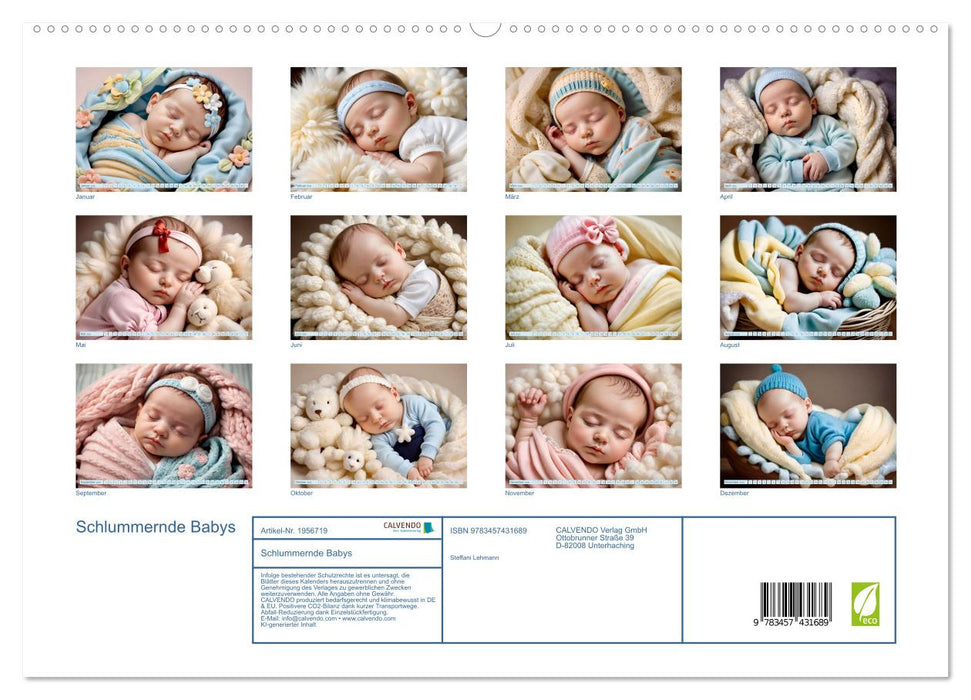 Schlummernde Babys (CALVENDO Premium Wandkalender 2026)
