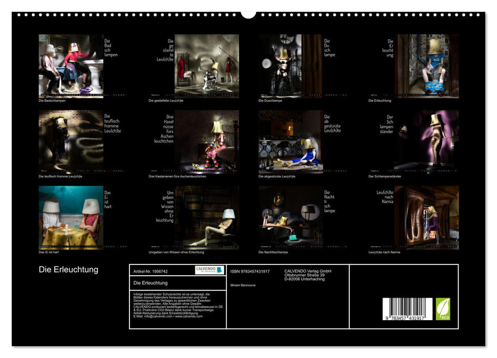 Die Erleuchtung (CALVENDO Premium Wandkalender 2026)