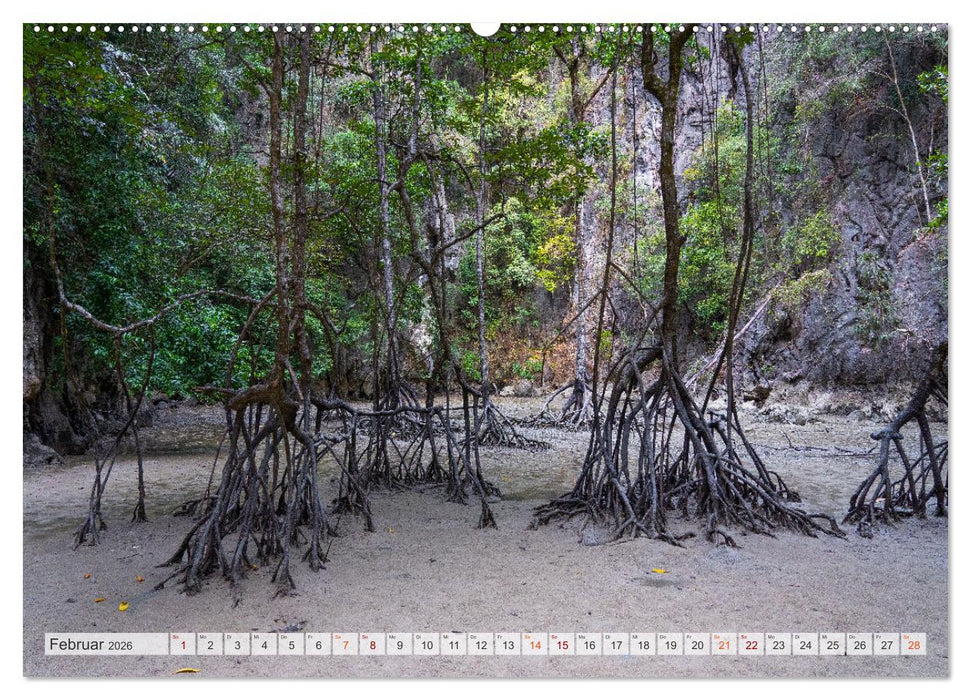 Thailand - Die Schönheit Asiens (CALVENDO Wandkalender 2026)