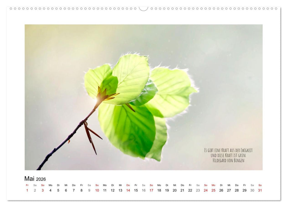 Blätterreigen (CALVENDO Premium Wandkalender 2026)