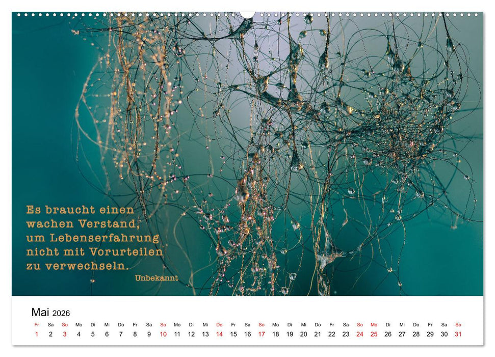 Zitate fürs Leben (CALVENDO Premium Wandkalender 2026)