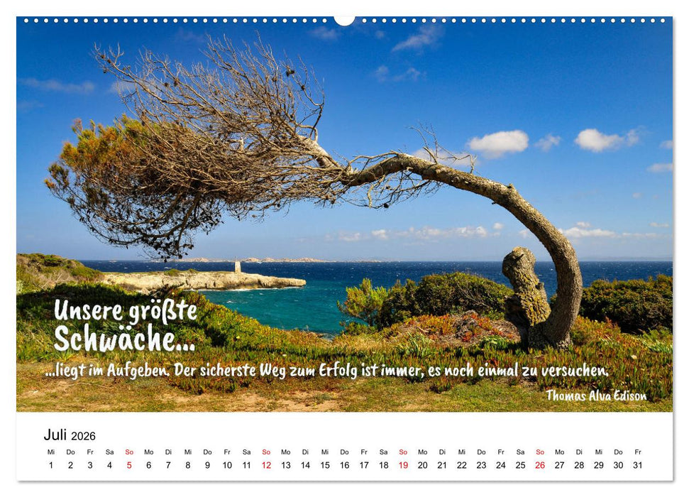 Zitate fürs Leben (CALVENDO Premium Wandkalender 2026)