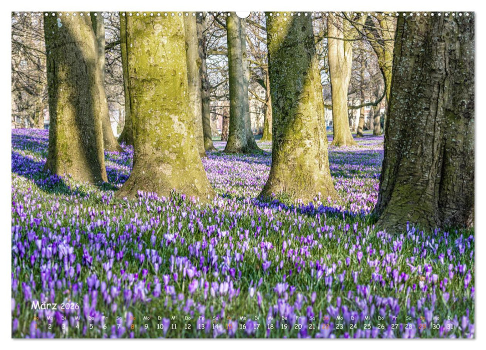 Westküste - Zwischen St. Peter Ording, Büsum und Elbe (CALVENDO Premium Wandkalender 2026)