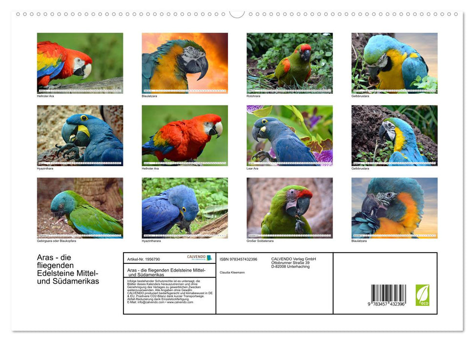 Aras - die fliegenden Edelsteine Mittel- und Südamerikas (CALVENDO Premium Wandkalender 2026)