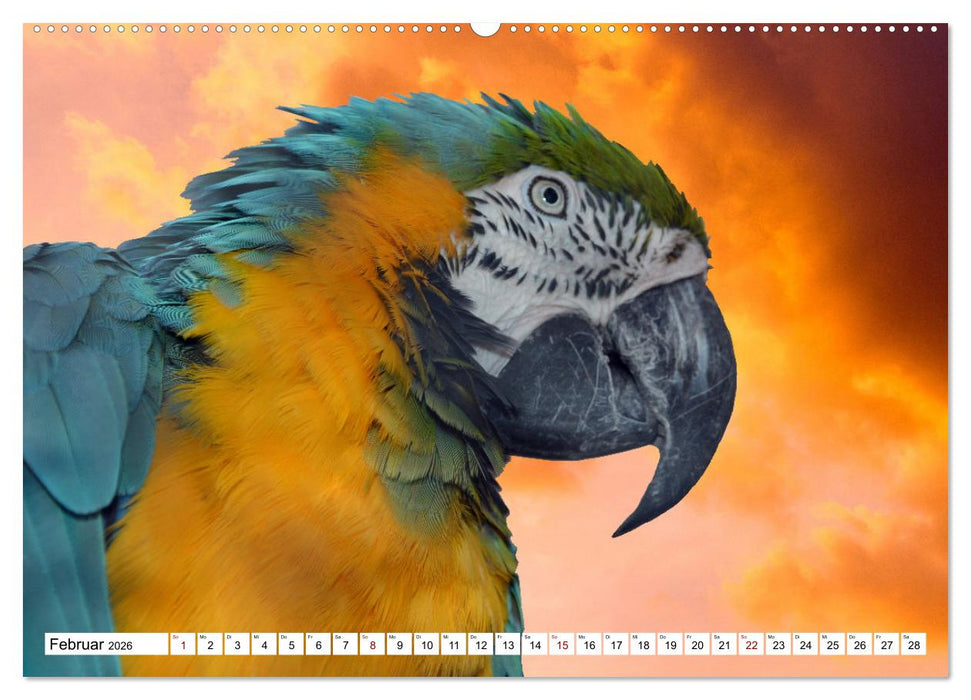 Aras - die fliegenden Edelsteine Mittel- und Südamerikas (CALVENDO Premium Wandkalender 2026)