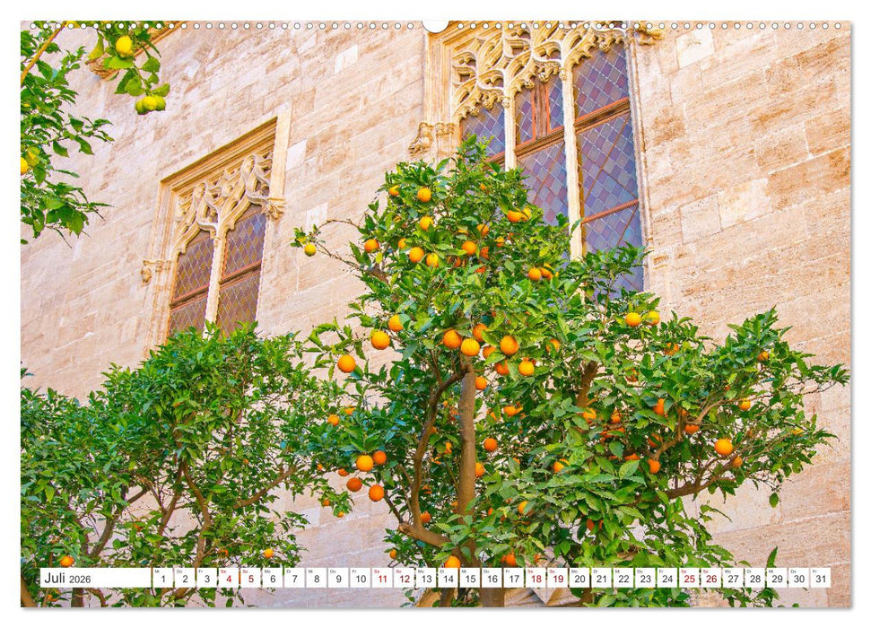 Valencia - Stadt mit besonderem Zauber (CALVENDO Premium Wandkalender 2026)