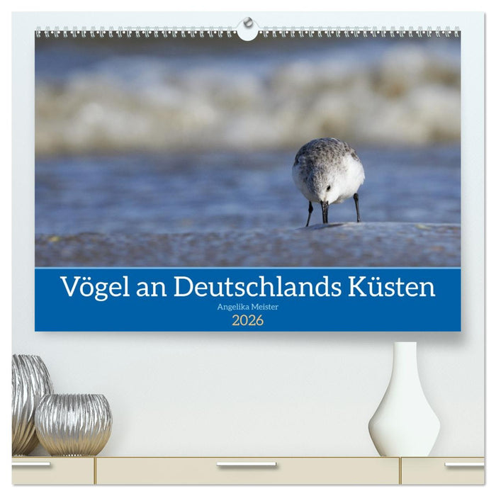 Vögel an Deutschlands Küsten (CALVENDO Premium Wandkalender 2026)
