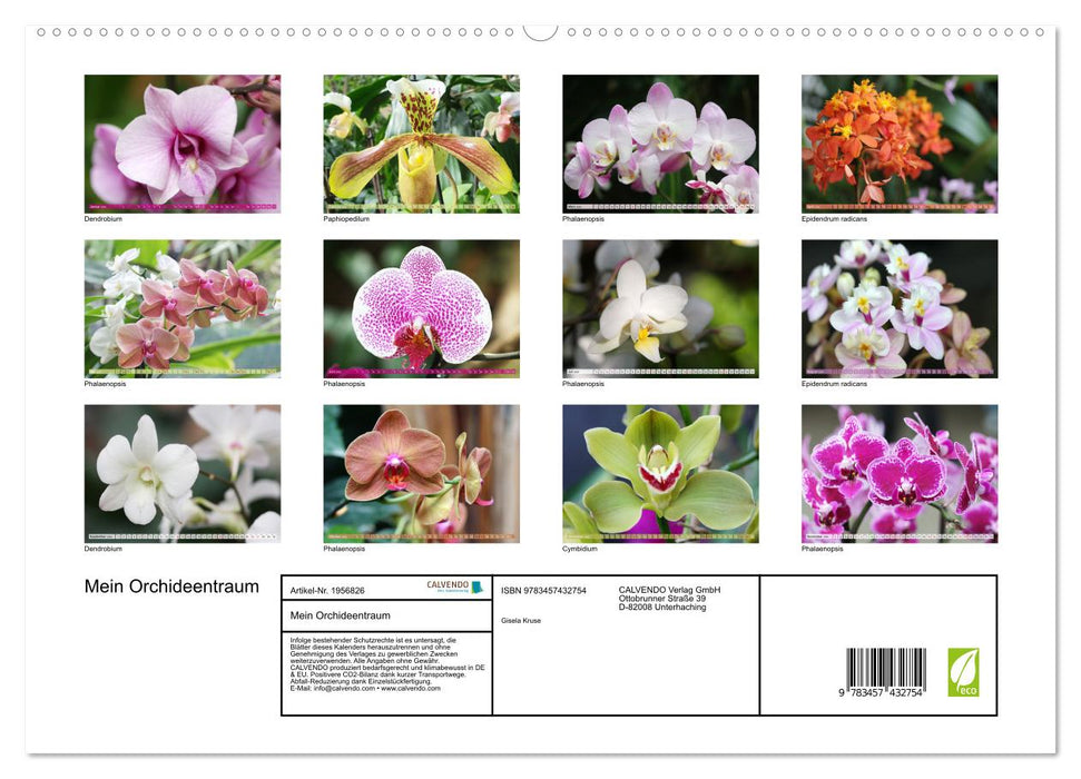Mein Orchideentraum (CALVENDO Premium Wandkalender 2026)