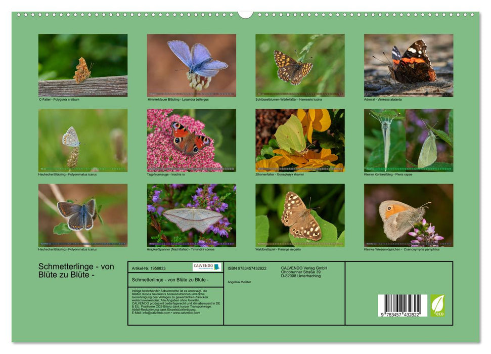 Schmetterlinge - von Blüte zu Blüte - (CALVENDO Premium Wandkalender 2026)