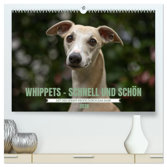 WHIPPETS - SCHNELL UND SCHÖN (CALVENDO Premium Wandkalender 2026)
