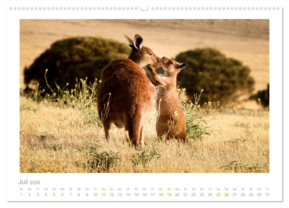 Ein Lächeln für die Tierwelt (CALVENDO Premium Wandkalender 2026)