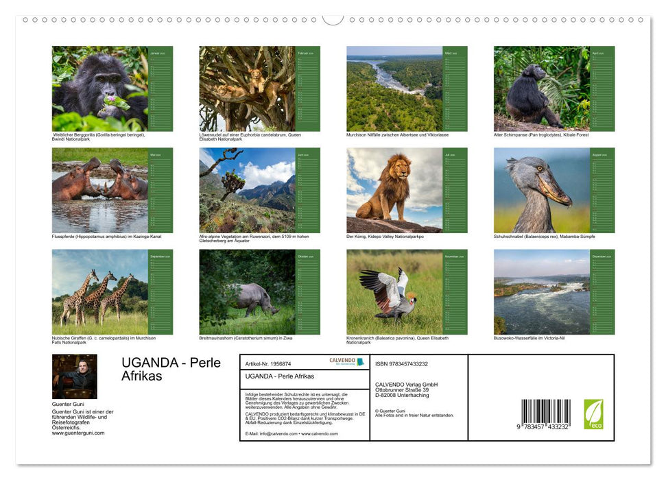 UGANDA - Perle Afrikas (CALVENDO Premium Wandkalender 2026)