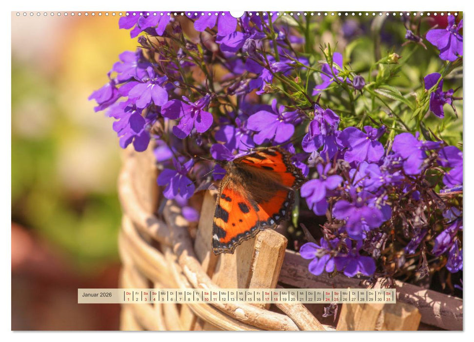 Almenglück (CALVENDO Premium Wandkalender 2026)